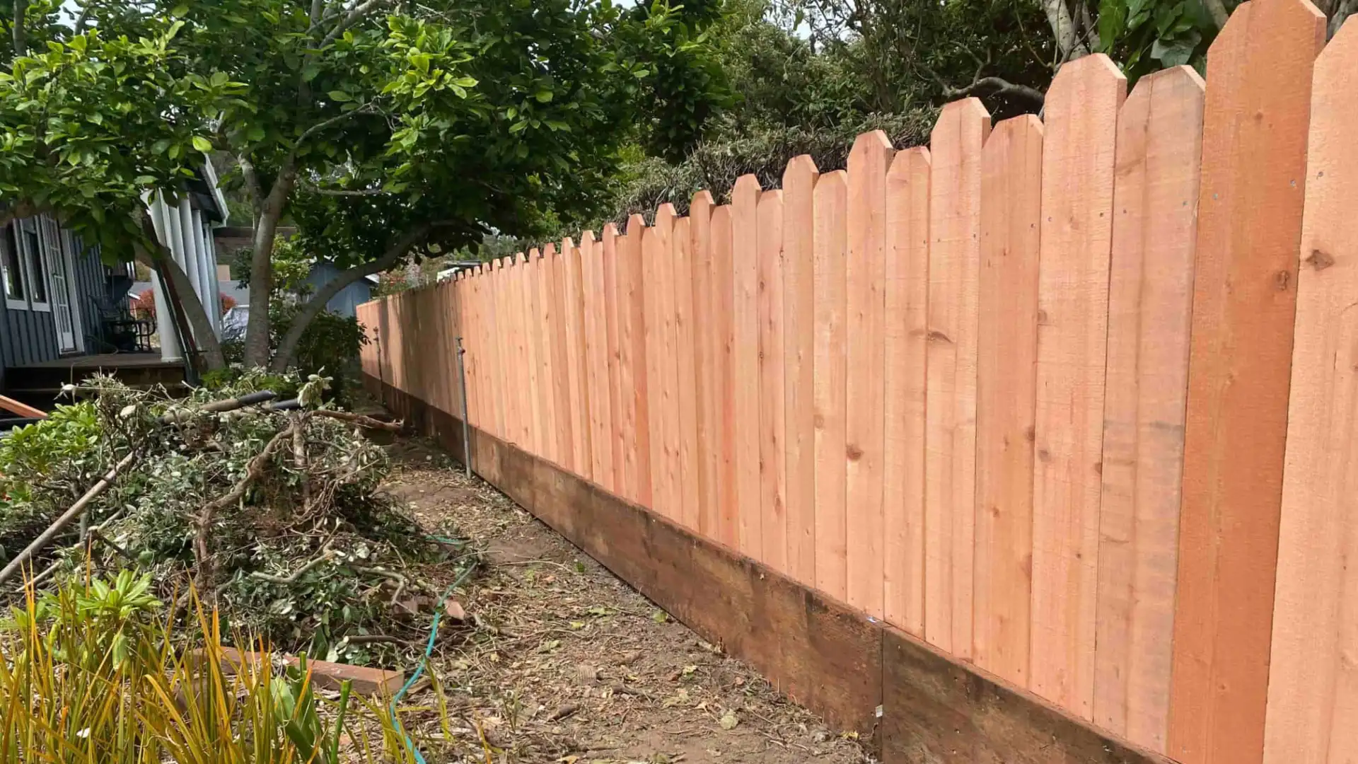 side view of fence with a tree near by