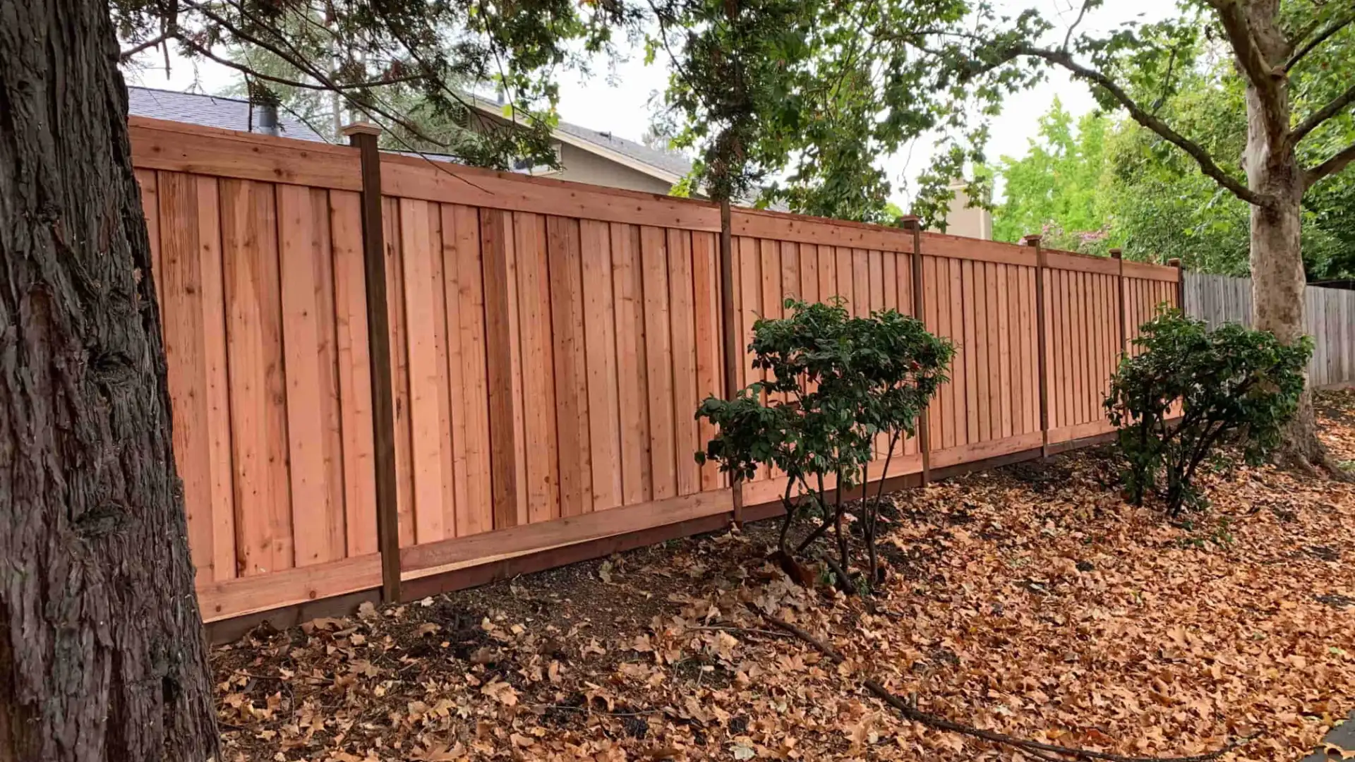 wooden fence with shrubs near by