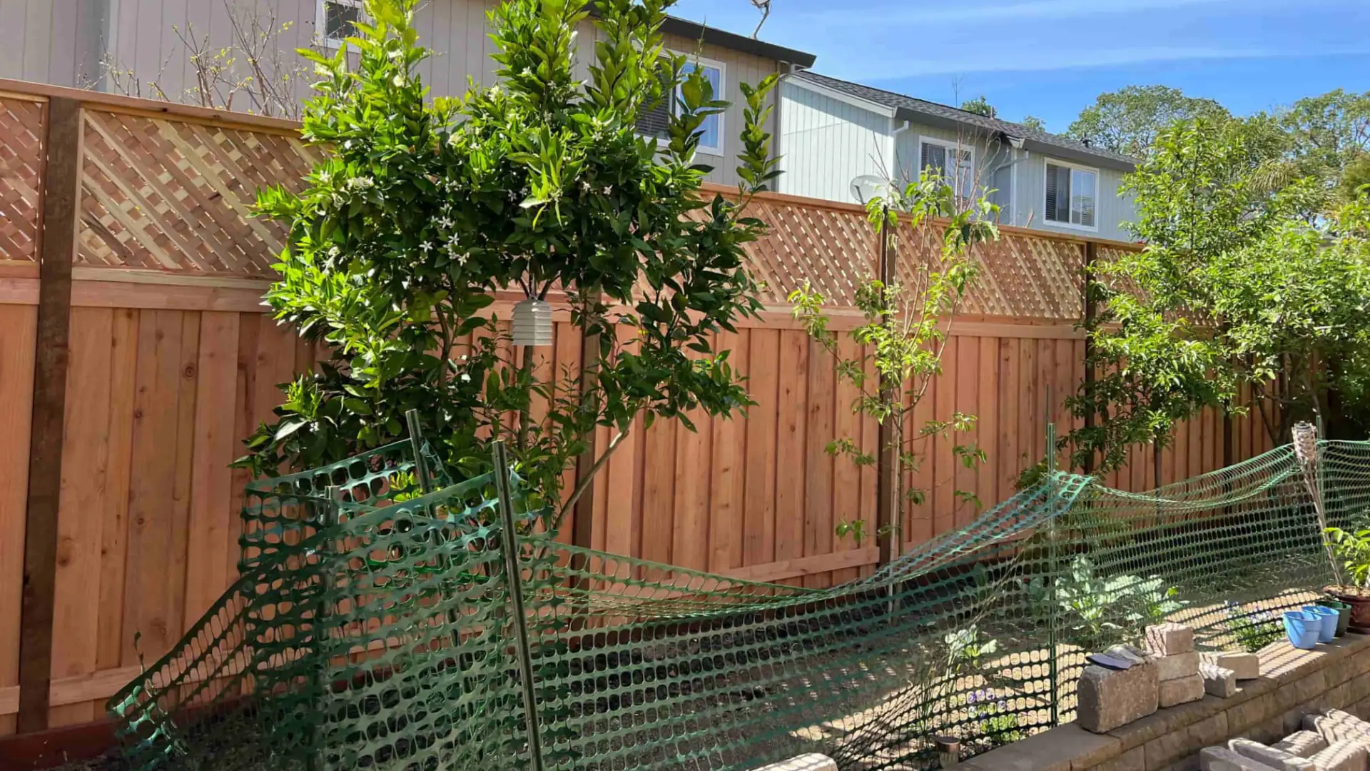 fence with trees and a green cloth beside the fence